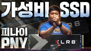 삼성 SSD보다 가성비 좋은 SSD를 소개합니다. PNY XLR8 CS3030