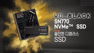 뭐! 디램리스인데 쓸만하다고? (PCIe 4.0지원 가장 저렴한 M.2 SSD WD_BLACK SN770 NVMe )