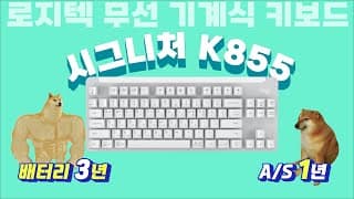 실크프린팅은 선 넘었는데... 배터리 한번 갈면 교체없이 3년 쓴다고? 그러면 못 까지! (로지텍 무선 기계식키보드 시그니쳐 K855)